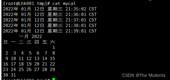 crontab