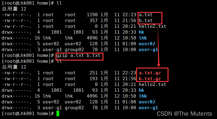 gzip