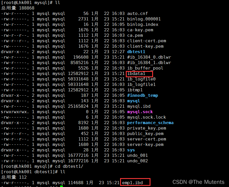 ibdata1