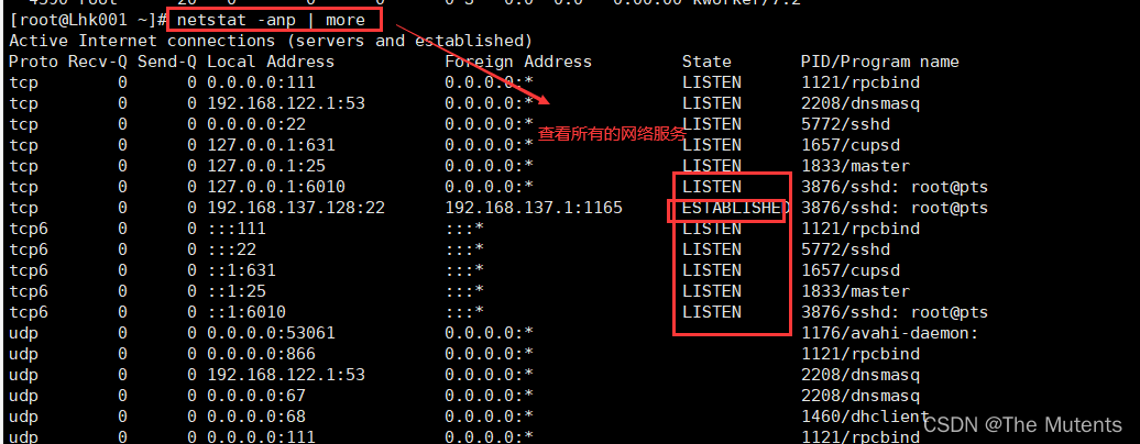 netstat