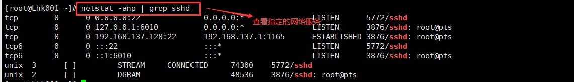 netstat