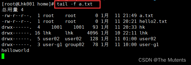 tail